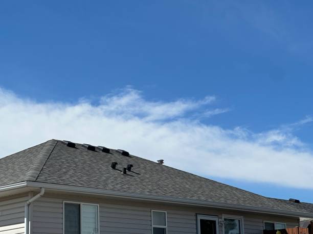 Siding in Springfield, CO